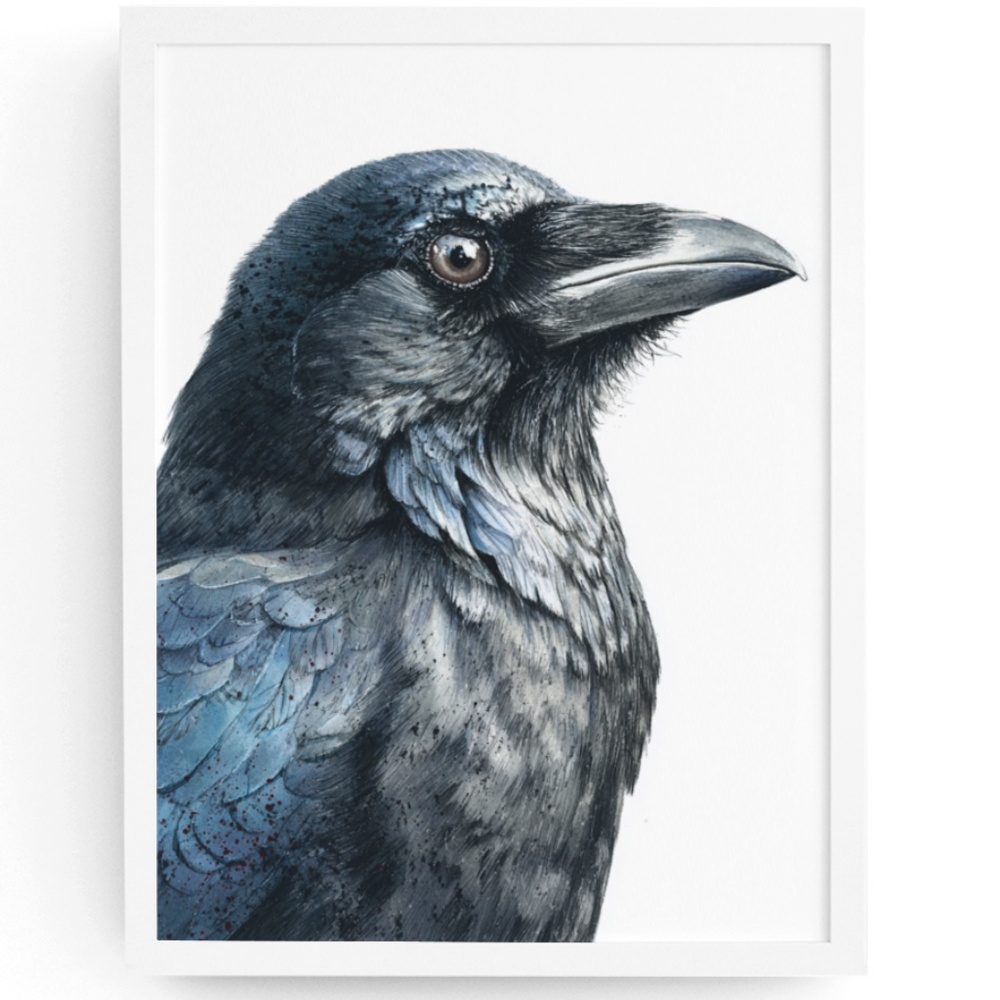 Watercolor Black Crow Wall Art Print Unframed - Black Bird Raven Illustration - Picture 1 of 6